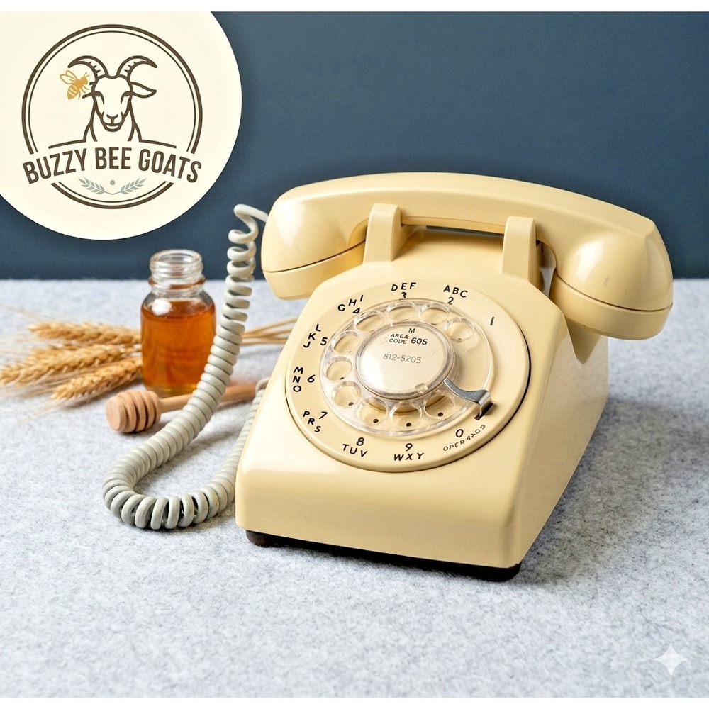 Vintage 1983 Bell System Western Electric Rotary Dial Desk Phone White Works